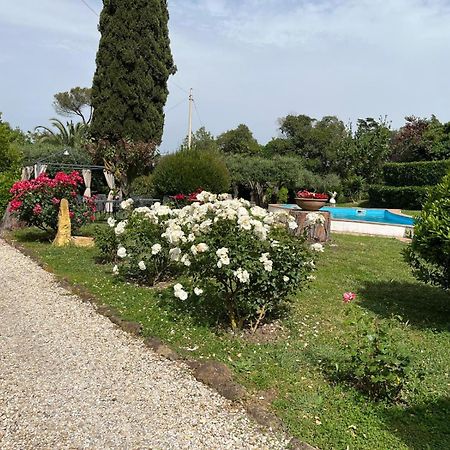 Loft Appia Antica Donna Eugenia Lägenhet Rom Exteriör bild