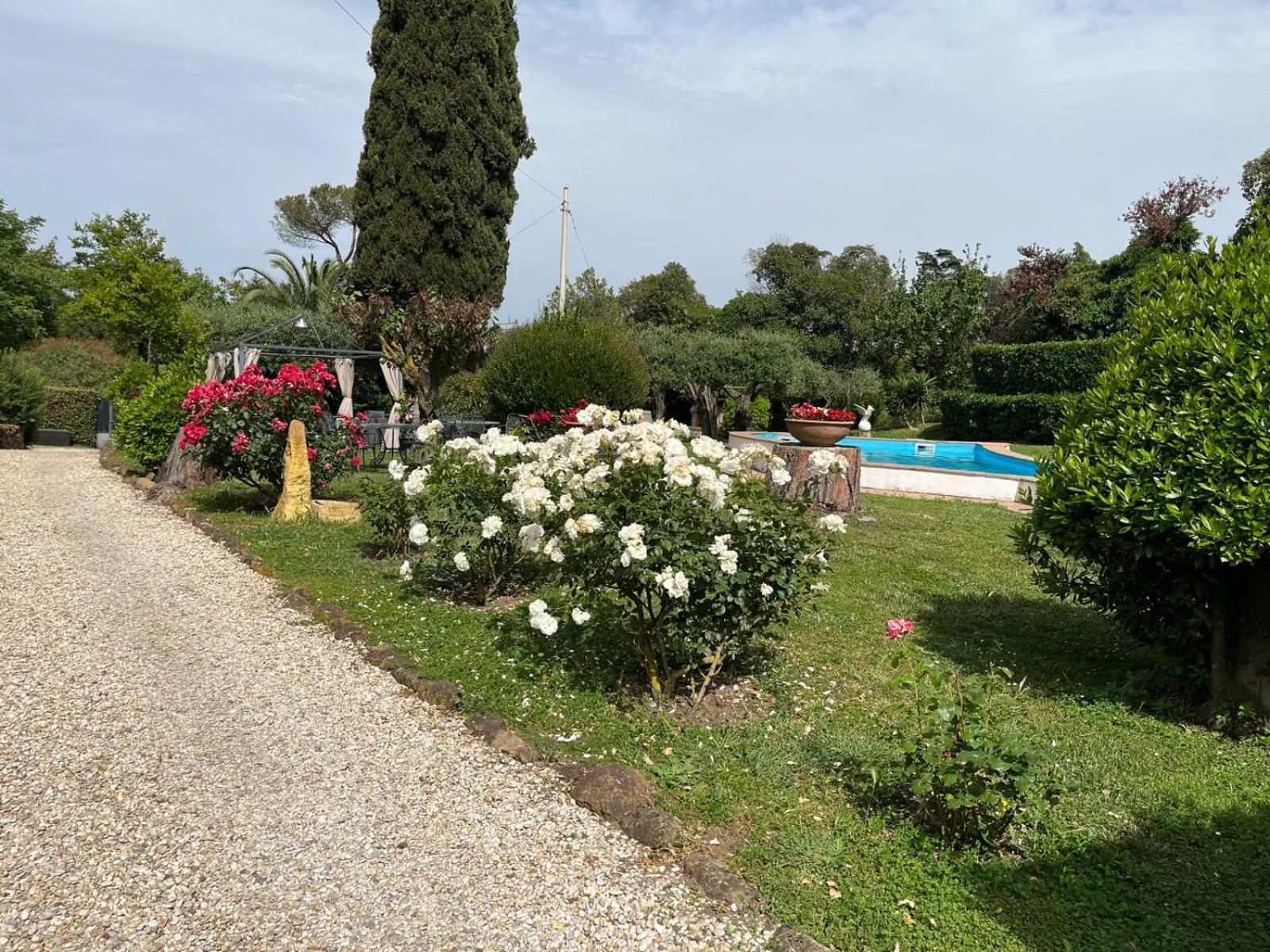 Loft Appia Antica Donna Eugenia Lägenhet Rom Exteriör bild
